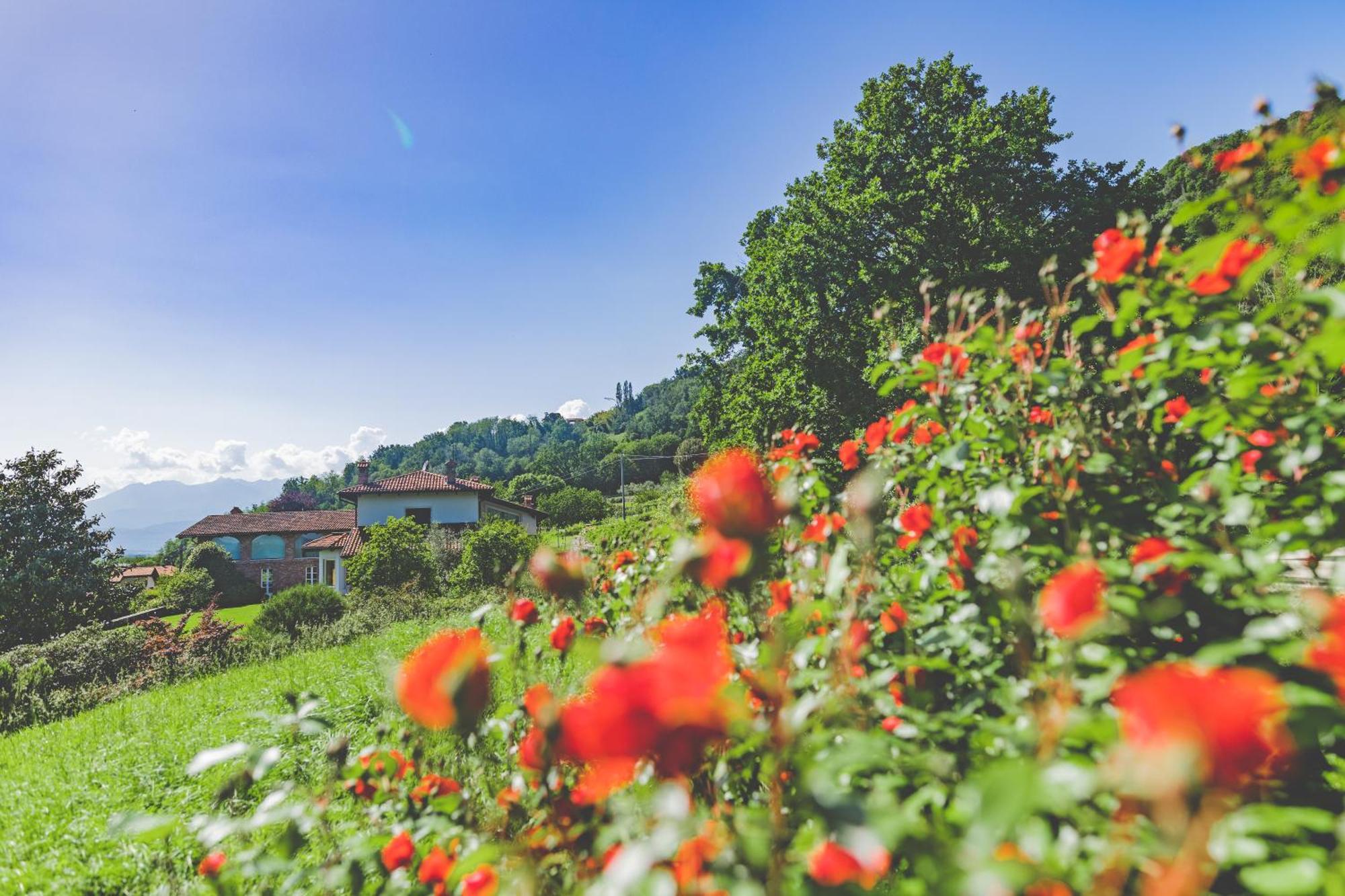 Myvilla Suites Palazzo Canavese Eksteriør billede