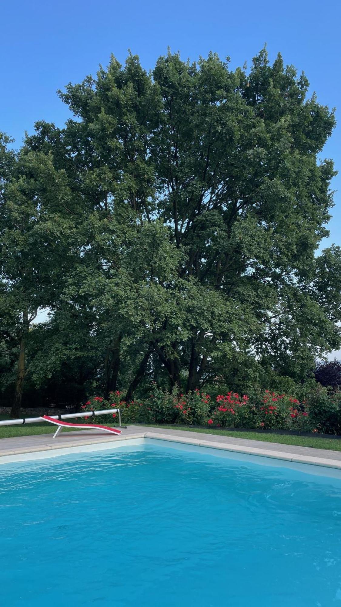 Myvilla Suites Palazzo Canavese Eksteriør billede